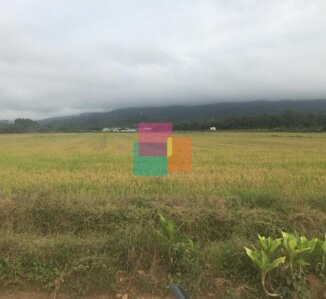 Area em Garuva, Eixo Sul Três Barras